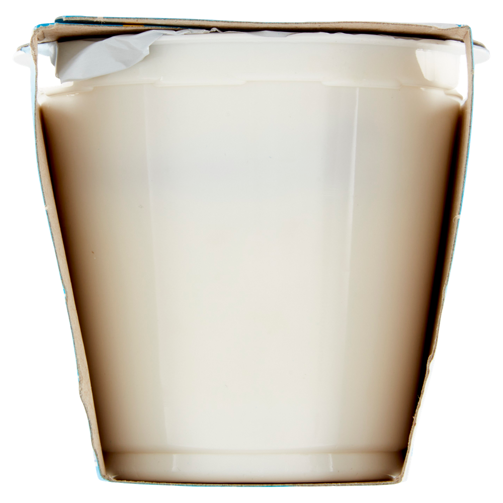 Yogurt Magro Bella Vita Free Zero Grassi Ananas - Foto 2