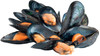 Cozze