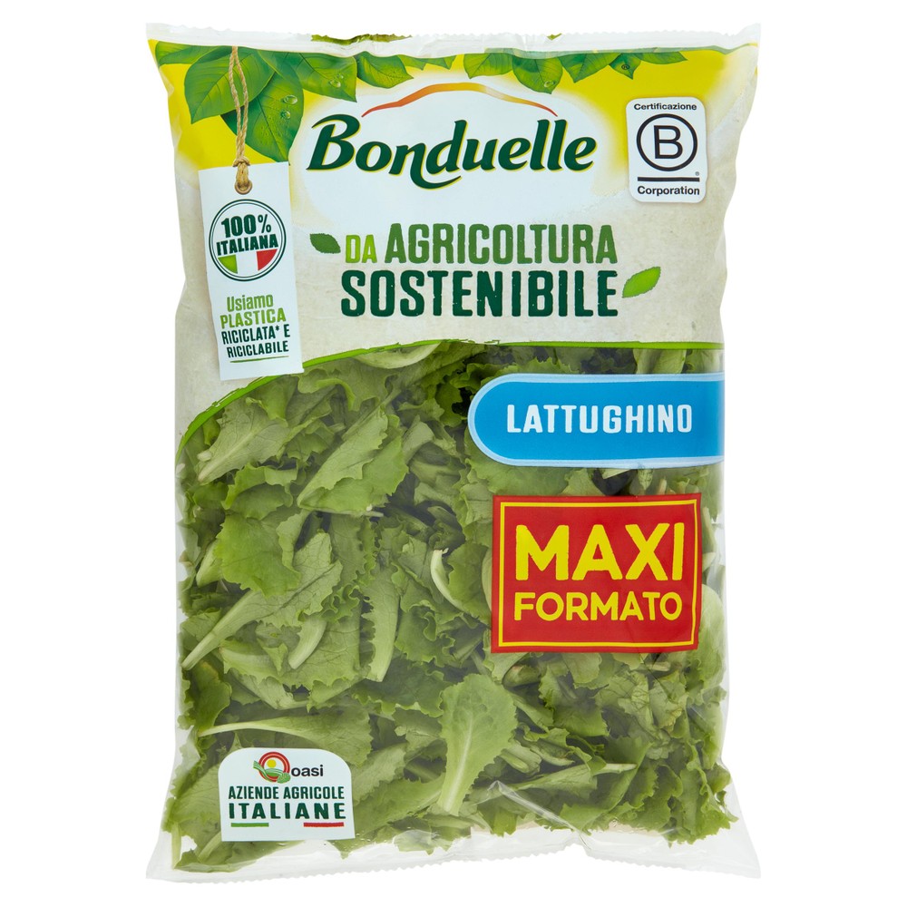 Insalata Lattughino Bonduelle - Foto 1