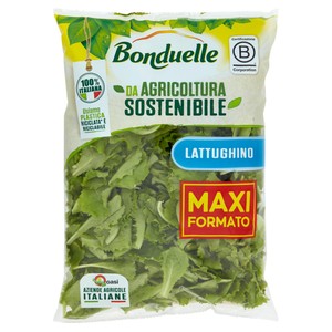 Insalata Lattughino Bonduelle - Foto 1