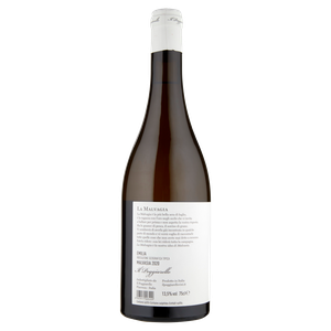 Malvasia Poggiarello Igt - Foto 3
