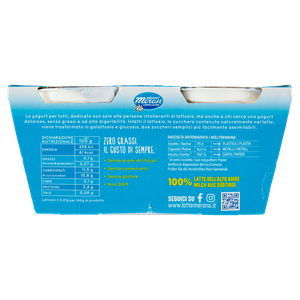 Yogurt Magro Bella Vita Free Zero Grassi Ananas - Foto 3