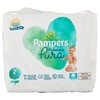 PAMP.PRO.PUR.TG2 MINI