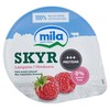 SKYR AI LAMPONI