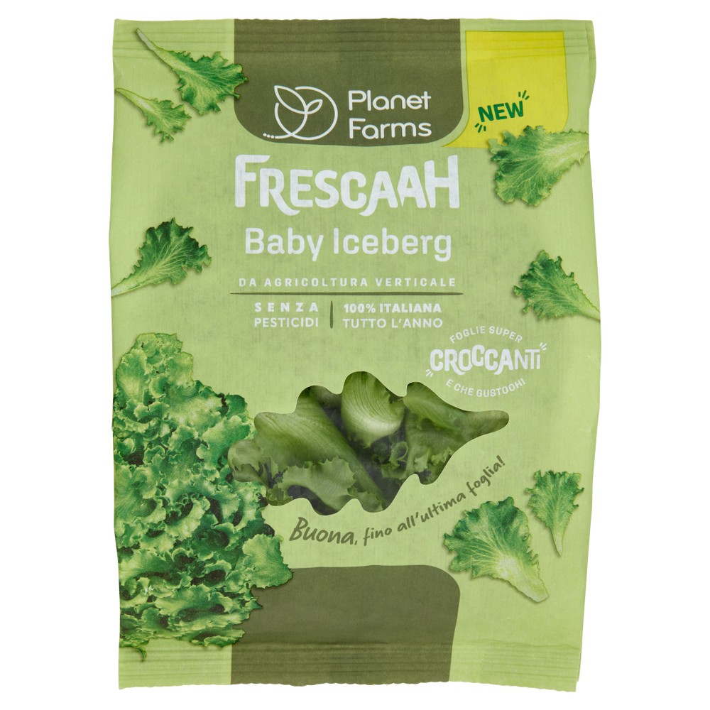 Baby Iceberg Busta - Foto 1