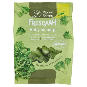 Baby Iceberg Busta - Foto 1