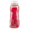 SUCCO MELAGRANA ML.250 - Foto 1 di 3