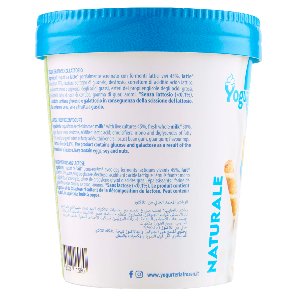 Gelato Yogurt Naturale Senza Lattosio Yogurteria Frozen - Foto 2