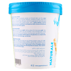 Gelato Yogurt Naturale Senza Lattosio Yogurteria Frozen - Foto 2