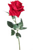 T2*ROSA ROSSA - Foto 1 di 1