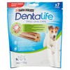 Dentalife Small
