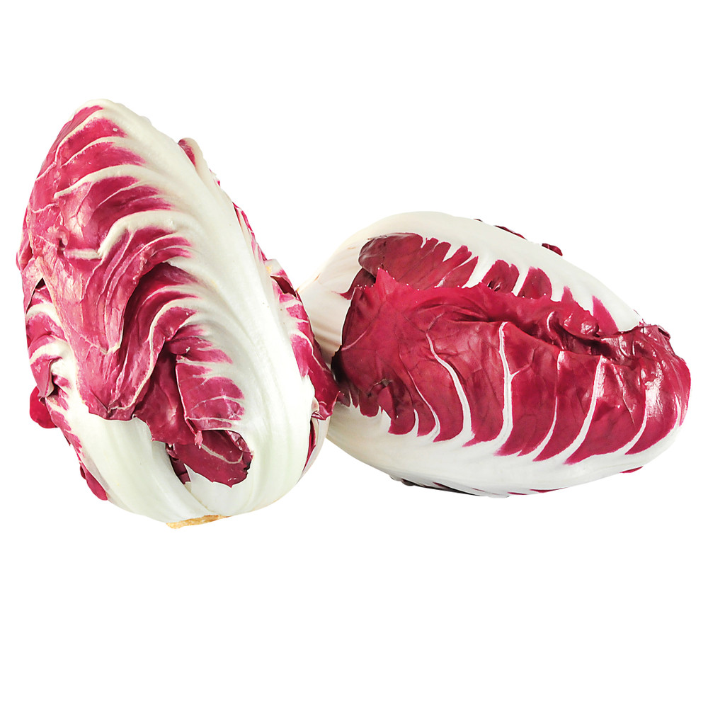 Radicchio Semilungo