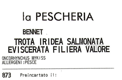 Trota Iridea Salmonata