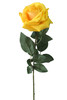 Rosa Gialla
