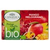 Infuso Passione Di Mango E Melograno Bio 15x1,8g L'angelica