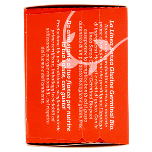 Tortino Avena Senza Glutine Cacao Bio Germinal