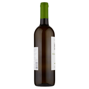 Muller Thurgau Alto Adige Kurtatsch - Foto 2