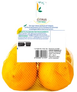 Limoni Per La Ricerca In Rete - Foto 2