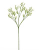 T2*VELO SPOSA BIANCO - Foto 1 di 1