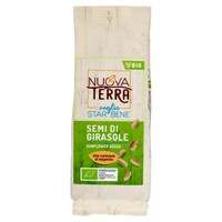 Semi Di Girasole Nuova Terra Semi Di Girasole Nuova Terra