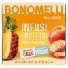 Infuso Fruttoso Ananas E Pesca 100% Naturale Filtri 12x2g Bonomelli