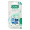 SCOV.MORB.MEDIUM GUM S - Foto 1 di 3
