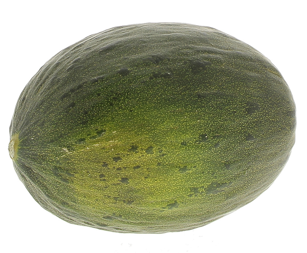 Melone Verde - Foto 1