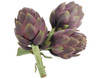 CARCIOFI THEMA