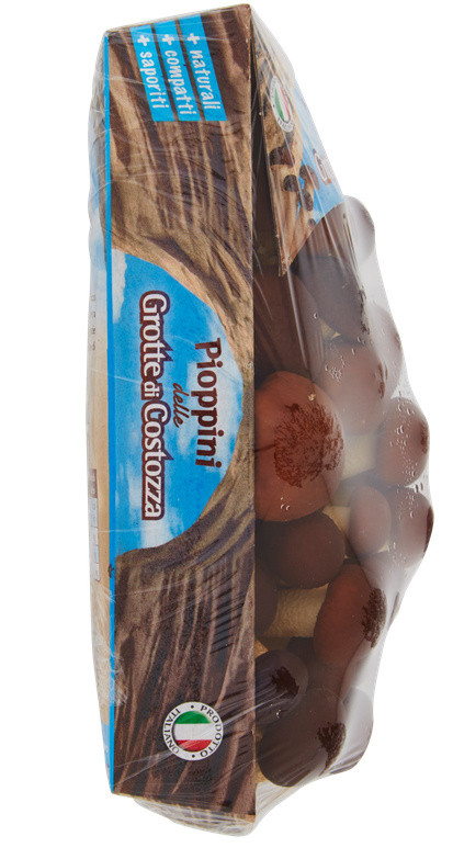 Funghi Pioppini In Vassoio - Foto 2