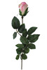 T3*BOCC.1FIORE ROSA - Foto 1 di 1