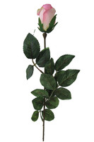 Bocciolo 1 Fiore Rosa