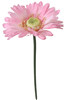 T2*GERBERA ROSA - Foto 1 di 1