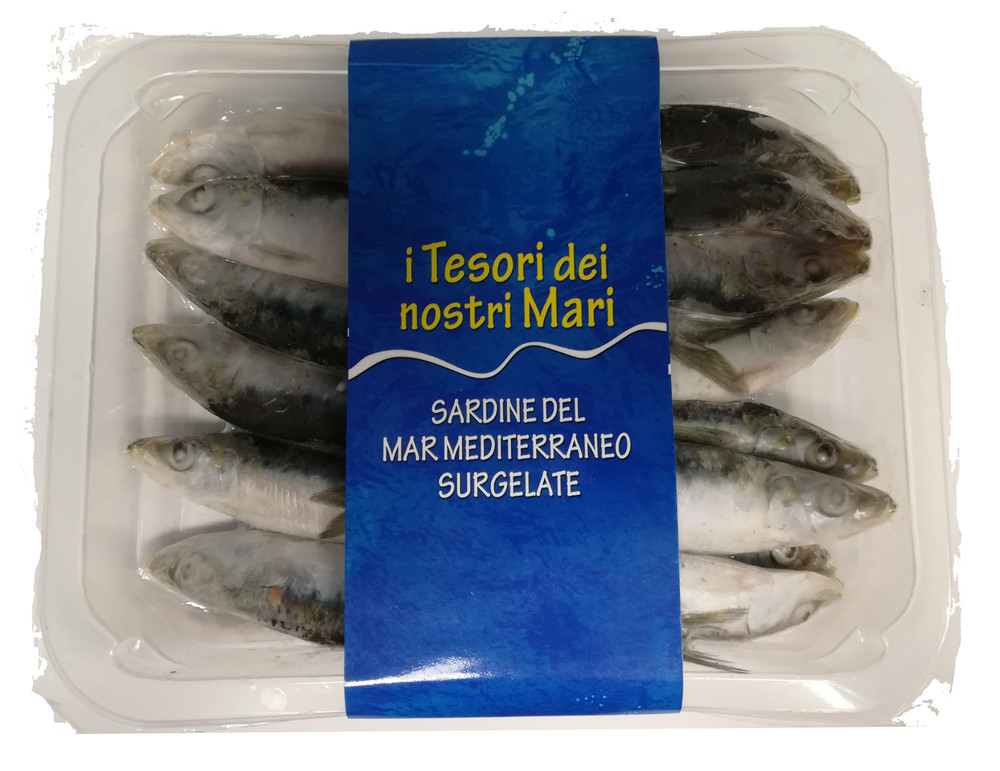Sardine Del Mediterraneo