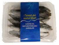 Sardine Del Mediterraneo Sardine Del Mediterraneo