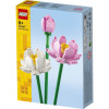 FIORI DI LOTO - Foto 1 di 1