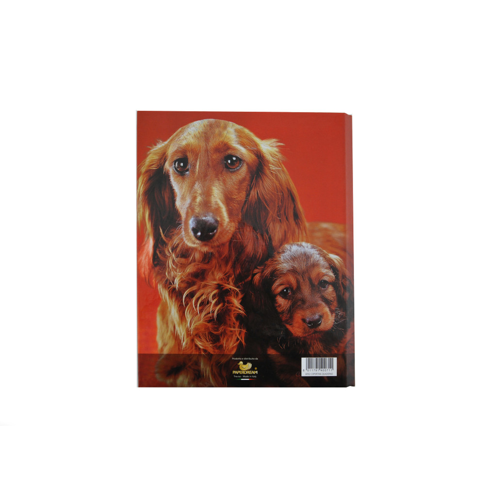 Quaderno Raccoglitore Ad Anelli A5 Animal Friends - Foto 2
