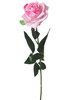 T2*ROSA ROSA - Foto 1 di 1