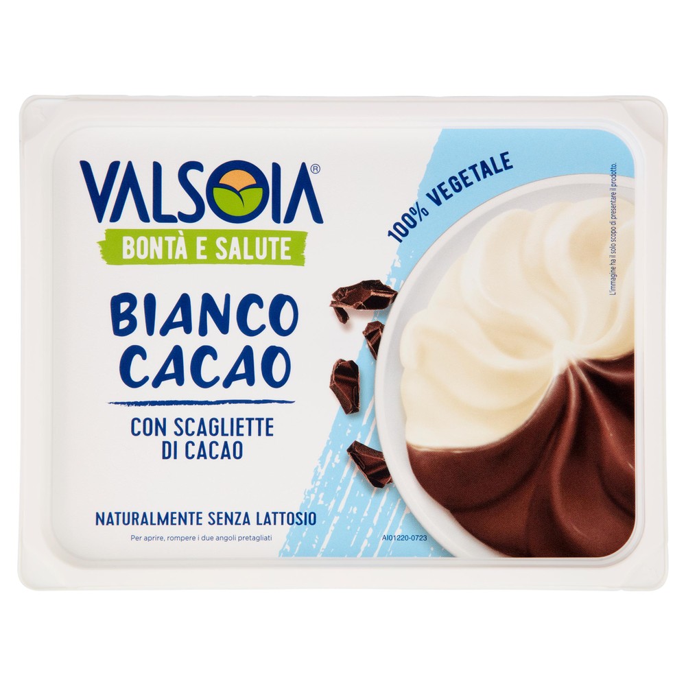Gelato Bianco Cacao Valsoia Vaschetta - Foto 1