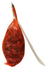 PRO 100BULB.CIPOL.ROSS - Foto 2 di 3