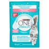 One Hydralife Salmone Purina