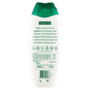 Bagno Oliva Palmolive