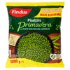 Pisellini Primavera Findus