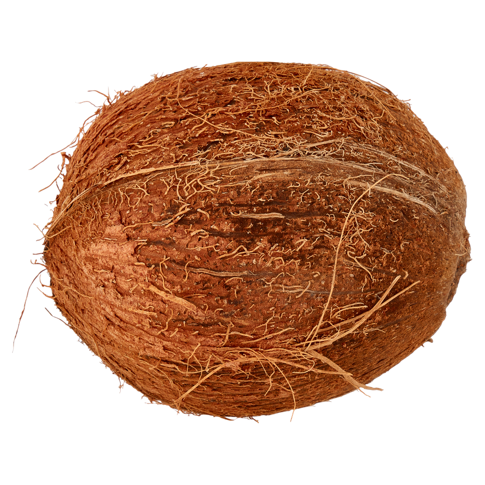 Cocco - Foto 3