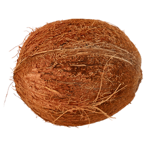 Cocco - Foto 3