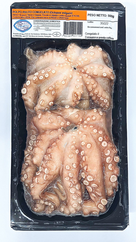 Polpo Oggi Pesce - Foto 1