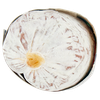 SALAME NEGRONETTO - Foto 2 di 3