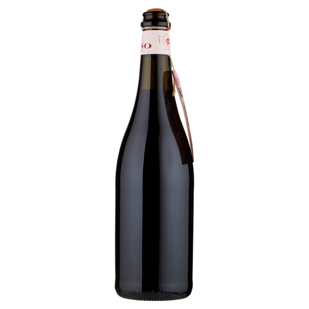 Barbera Piemonte Doc Toso - Foto 2
