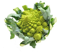 Cavolo Romanesco