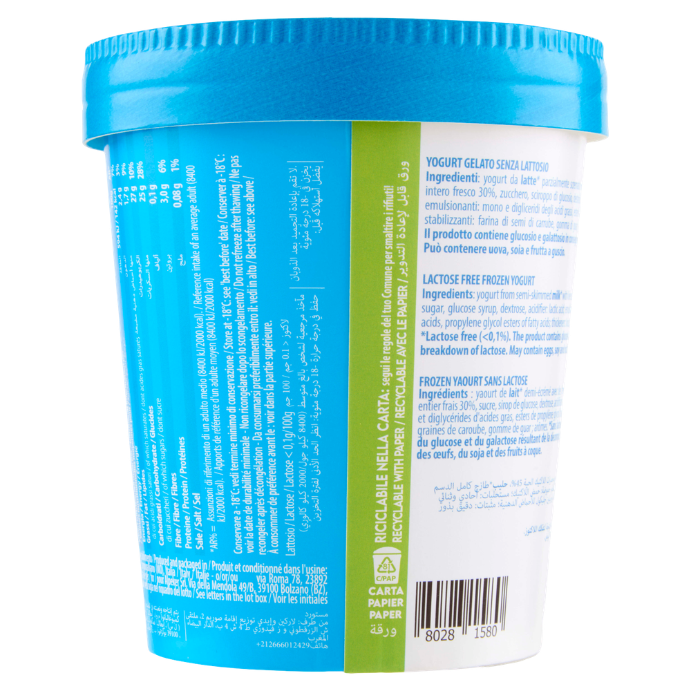 Gelato Yogurt Naturale Senza Lattosio Yogurteria Frozen - Foto 3