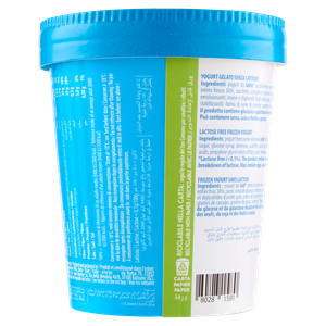 Gelato Yogurt Naturale Senza Lattosio Yogurteria Frozen - Foto 3